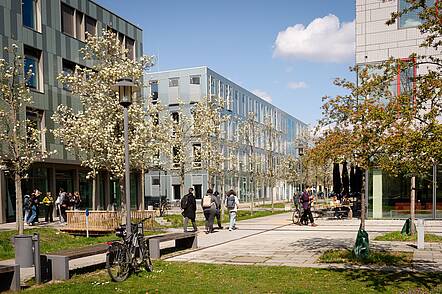 Foto: Studierende schlendern in Gruppen über den Campus der FH Potsdam, vorbei an Gebäuden, Bäumen und abgestellten Fahrrädern