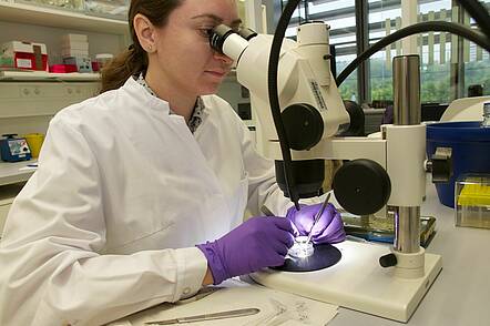 Foto: Studierende arbeitet im Labor mit Mikroskop