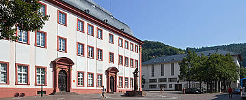 [Translate to English:] Die Universität Heidelberg. (Foto: Uni Heidelberg)