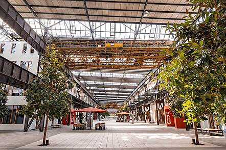 Foto: Blick auf den modernen Campus Lingen, der teilweise wie eine Fabrikhalle anmutet