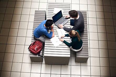 Foto. Studierende beim gemeinsamen Lernen 