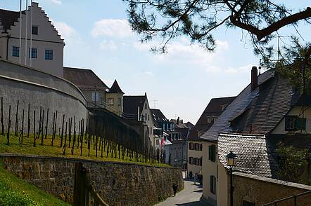 Schlossbau der Pädagogischen Hochschule Weingarten (PH) auf dem Martinsberg (Foto: Pädagogische Hochschule Weingarten) Foto: Blick auf den Schlossbau der Pädagogischen Hochschule Weingarten (PH) auf dem Martinsberg