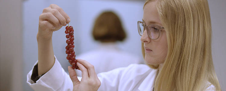 Studentin im Labor (Foto: Hochschule Geisenheim)