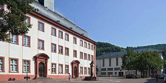 Foto: Blick auf die Alte und Neue Universität Heidelberg.