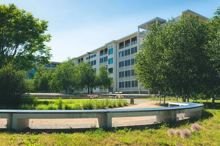 Foto: Blick über den grünen Campus mit runder Sitzbank auf die Hochschule Merseburg