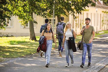 Universität Hohenheim (Foto: Universität Hohenheim / Max Kovalenko)