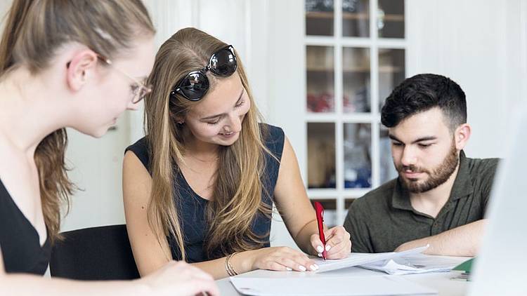 Studierende machen Gruppenarbeit (Foto: MSB Berlin)