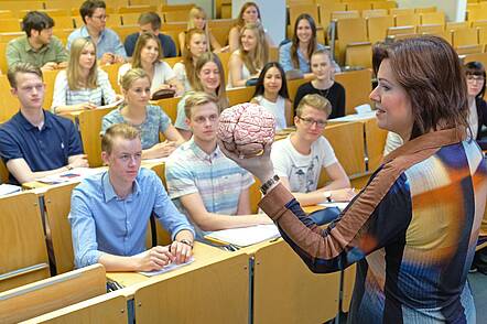 Foto: Eine Dozentin zeigt Studierenden das Modell eines menschlichen Gehirns während einer Vorlesung.