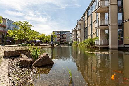 Campus der EBZ mit Teich (Foto: Sven Neidig / EBZ Business School) Foto: Blick über den Campusteich auf die Hochschulgebäude der EBZ Business School.