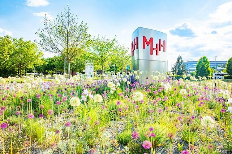 Blick auf die Stele mit Logo der Medizinische Hochschule Hannover
