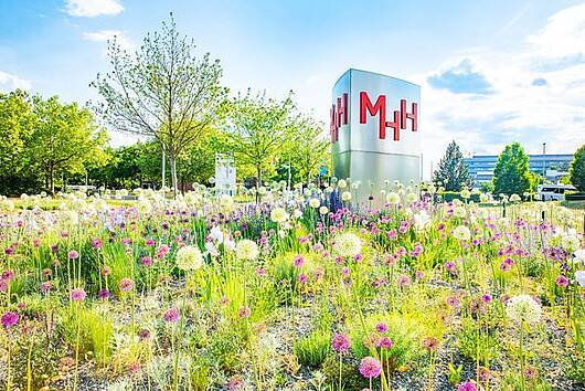 Blick auf die Stele mit Logo der Medizinische Hochschule Hannover