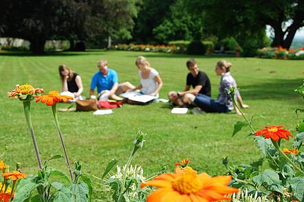 Foto: Studierende sitzen auf dem Rasen im Hofgarten 