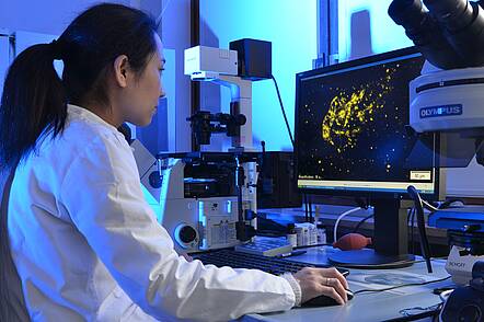 Foto: Studierende vor dem Computer bei der Auswertung von Forschungsergebnissen 