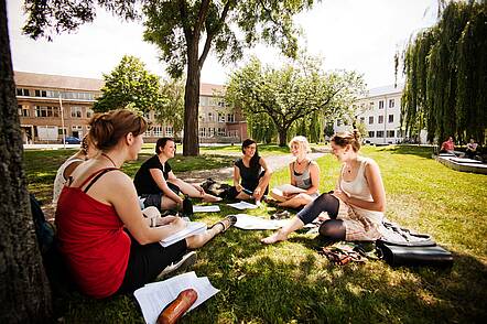 Studierende (Foto: Fachhochschule Erfurt) Foto: Studierende sitzen auf einer Wiese unter einem Baum und unterhalten sich.