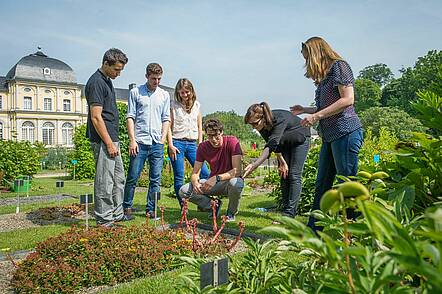 Foto: Studierende bei der Pflanzenkunde im Botanischen Garten der Universität Bonn.