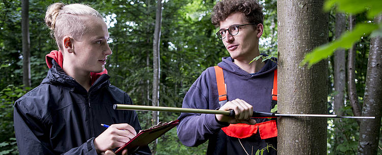 Studierende nehmen Messungen vor (Foto: Hochschule für Forstwirtschaft Rottenburg)