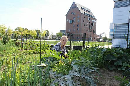 Foto: Studierende von der Fakultät Life Sciences bepflanzt den hochschuleigenen Garten