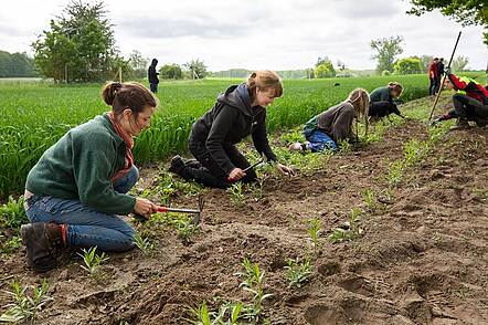 Foto: Praxisnahes Studium im Forstprojekt Ackerflächen und Weiden.