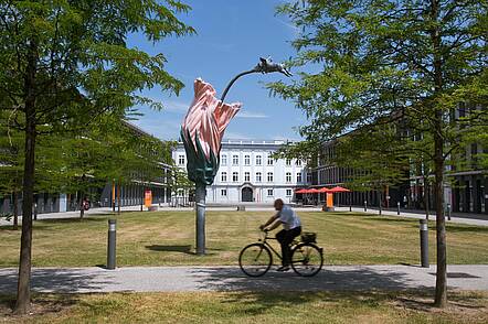 Foto: Fahrradfahrer vor einem Gebäude der Hochschule Augsburg