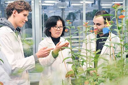 Universität Hohenheim (Foto: Universität Hohenheim / Max Kovalenko)